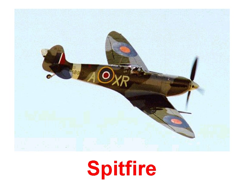 Spitfire